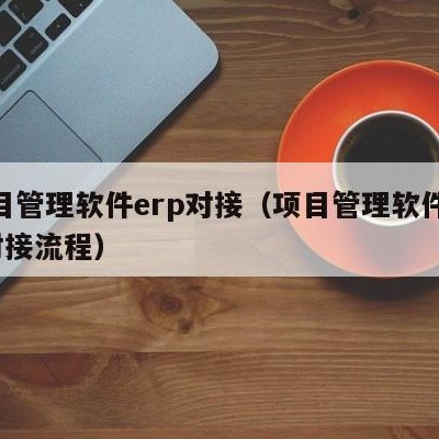 项目管理软件erp对接（项目管理软件erp对接流程）