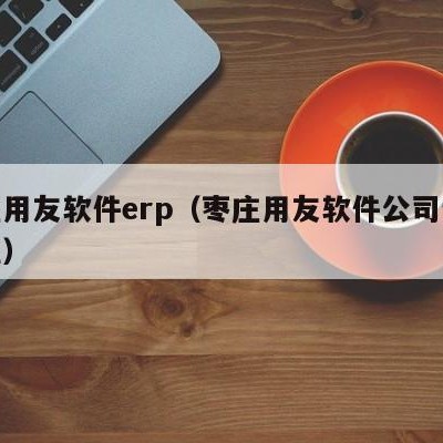 枣庄用友软件erp（枣庄用友软件公司详细地址）