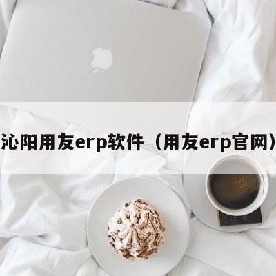 沁阳用友erp软件（用友erp官网）