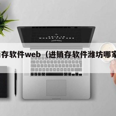 进销存软件web（进销存软件潍坊哪家强?）