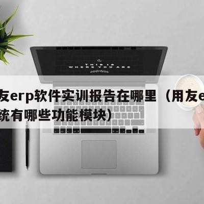 用友erp软件实训报告在哪里（用友erp系统有哪些功能模块）