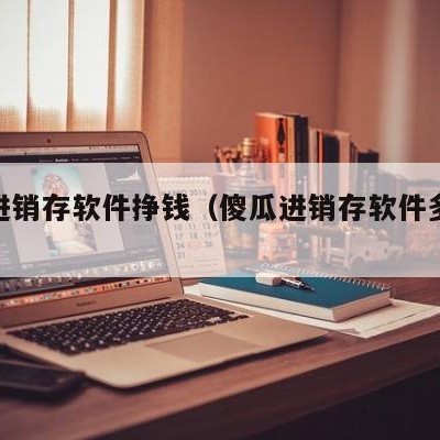 傻瓜进销存软件挣钱（傻瓜进销存软件多少钱）