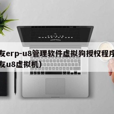 用友erp-u8管理软件虚拟狗授权程序（用友u8虚拟机）