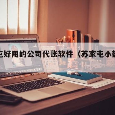 苏家屯好用的公司代账软件（苏家屯小额贷款公司）