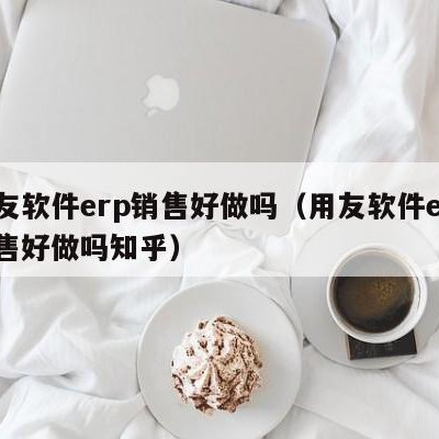 用友软件erp销售好做吗（用友软件erp销售好做吗知乎）