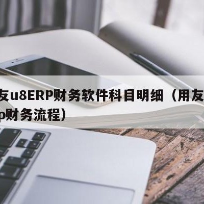 用友u8ERP财务软件科目明细（用友u8erp财务流程）