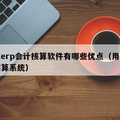 用友erp会计核算软件有哪些优点（用友财务核算系统）