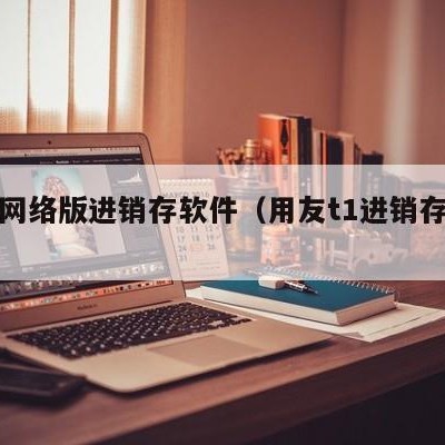 用友网络版进销存软件（用友t1进销存软件）