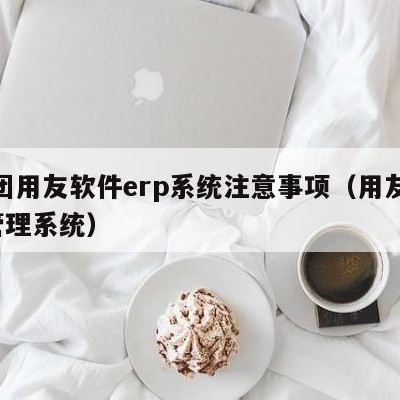 集团用友软件erp系统注意事项（用友erp管理系统）