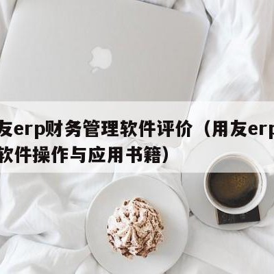 用友erp财务管理软件评价（用友erp财务软件操作与应用书籍）