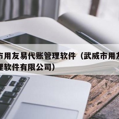 武威市用友易代账管理软件（武威市用友易代账管理软件有限公司）