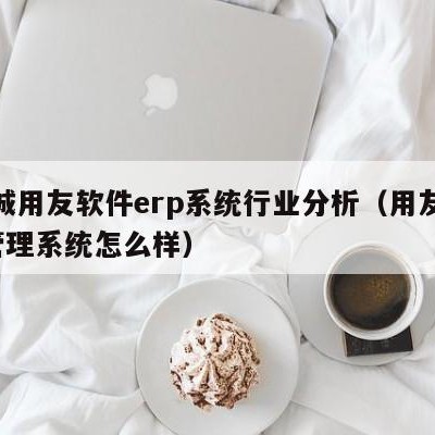 聊城用友软件erp系统行业分析（用友erp管理系统怎么样）