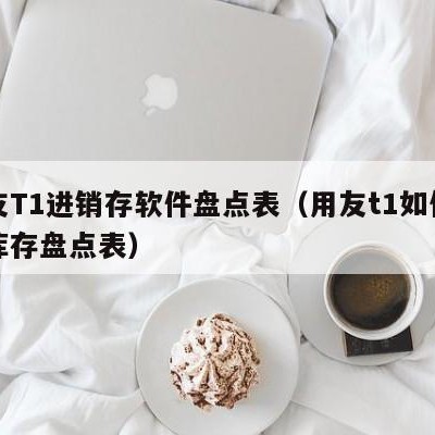 用友T1进销存软件盘点表（用友t1如何导出库存盘点表）