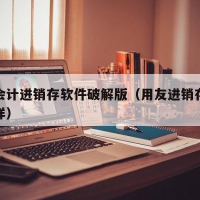 用友会计进销存软件破解版（用友进销存软件怎么样）