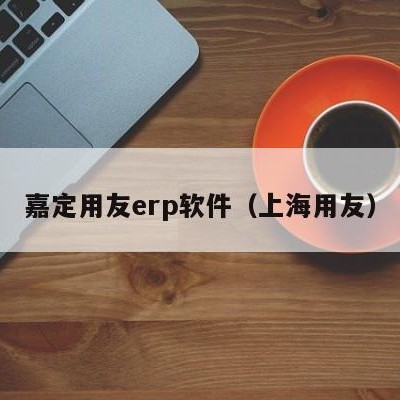 嘉定用友erp软件（上海用友）