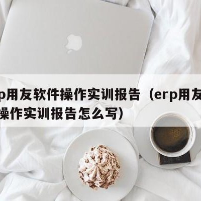 erp用友软件操作实训报告（erp用友软件操作实训报告怎么写）