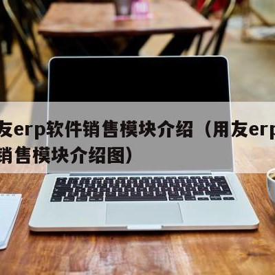 用友erp软件销售模块介绍（用友erp软件销售模块介绍图）