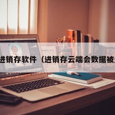 密云进销存软件（进销存云端会数据被盗吗）