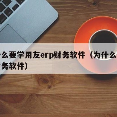 为什么要学用友erp财务软件（为什么要使用财务软件）