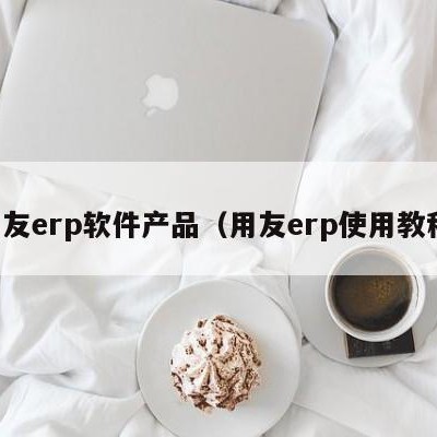 用友erp软件产品（用友erp使用教程）