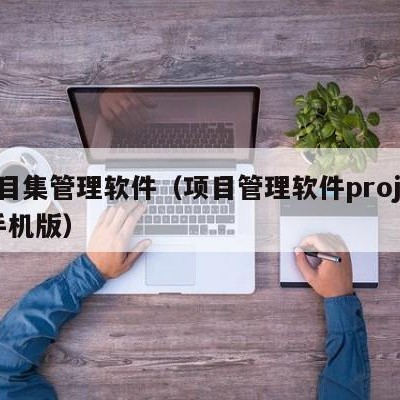 项目集管理软件（项目管理软件project手机版）