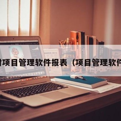 开封项目管理软件报表（项目管理软件包）