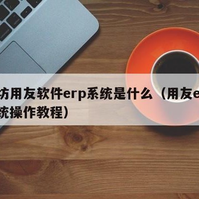 潍坊用友软件erp系统是什么（用友erp系统操作教程）