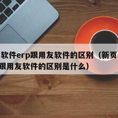 新页软件erp跟用友软件的区别（新页软件erp跟用友软件的区别是什么）