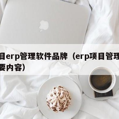 项目erp管理软件品牌（erp项目管理的主要内容）