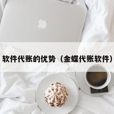 软件代账的优势（金蝶代账软件）