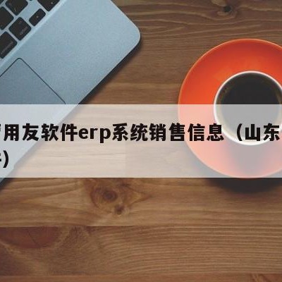 东营用友软件erp系统销售信息（山东用友软件）