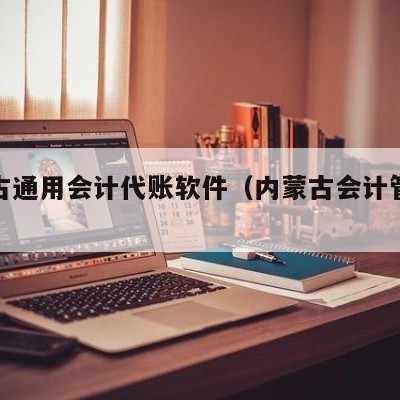 内蒙古通用会计代账软件（内蒙古会计管理系统）