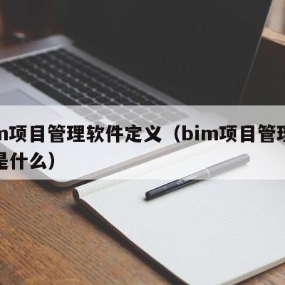 bim项目管理软件定义（bim项目管理软件是什么）