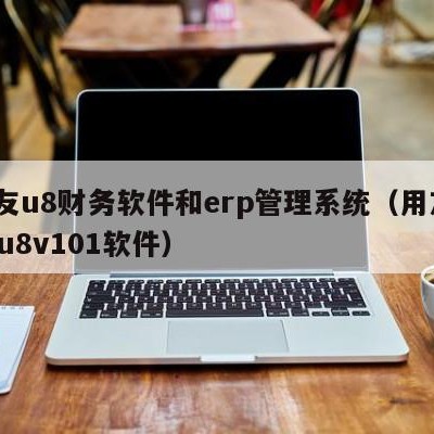 用友u8财务软件和erp管理系统（用友erpu8v101软件）