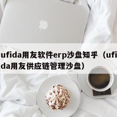 ufida用友软件erp沙盘知乎（ufida用友供应链管理沙盘）