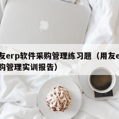 用友erp软件采购管理练习题（用友erp采购管理实训报告）